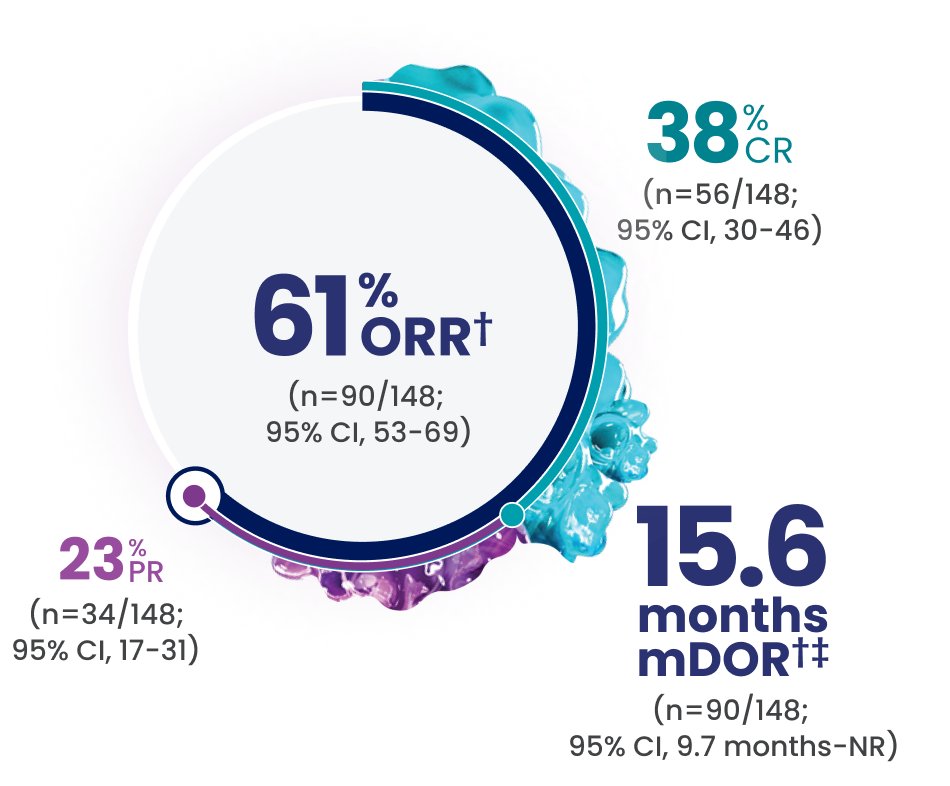 61% of patients had a response (n=90/148; 95% CI, 53-69), 38% of patients had a complete response (n=56/148; 95% CI, 30-46), and 23% of patients had a partial response (n=34/148; 95% CI, 17-31). Median DOR was 15.6 months (n=90/148; 95% CI, 9.7 months-NR).
