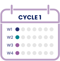 During cycle 1, EPKINLY is administered  weekly.