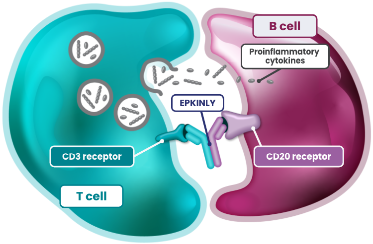 EPKINLY™ targets CD3/CD20.