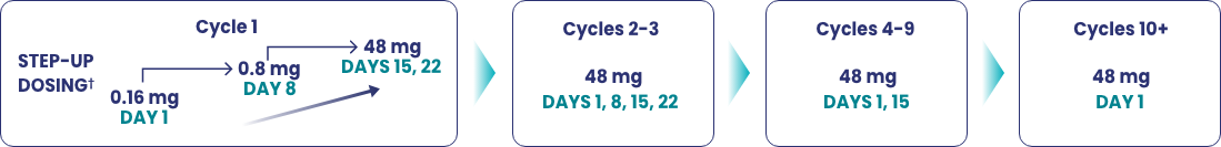 Step-up dosing for cycle 1: 0.16 mg on day 1, 0.8 mg on day 8, 48 mg on days 15 and 22. Cycles 2-3: 48 mg on days 1, 8, 15 and 22. Cycles 4-9: 48 mg on days 1 and 15. Cycles 10+: 48 mg on day 1.