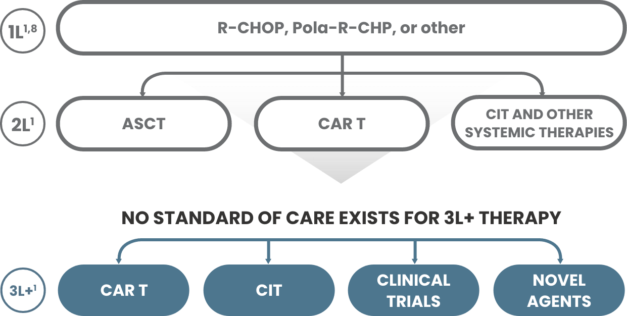R-­CHOP or other treatments are used to treat 1L DLBCL patients. ASCT, CAR T, CIT and other systemic therapies are used to treat 2L DLBCL patients. A standard of care for 3L+ DLBCL patients does not exist. Currently, 3L DLBCL patients are treated with CAR T, CIT, clinical trials and novel agents.